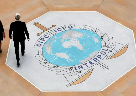 what is interpol